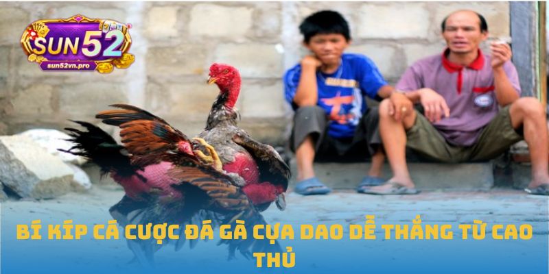 Bí kíp cá cược đá gà cựa dao dễ thắng từ cao thủ