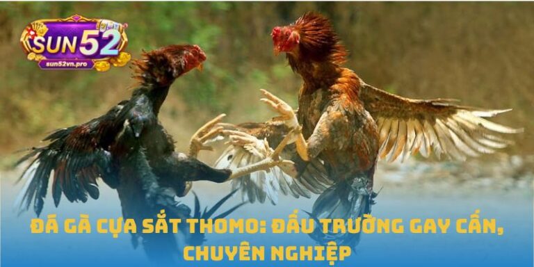 đá gà cựa sắt thomo