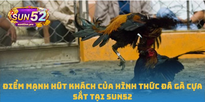 Điểm mạnh hút khách của hình thức đá gà cựa sắt tại Sun52