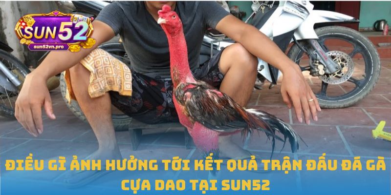Điều gì ảnh hưởng tới kết quả trận đấu đá gà cựa dao tại Sun52
