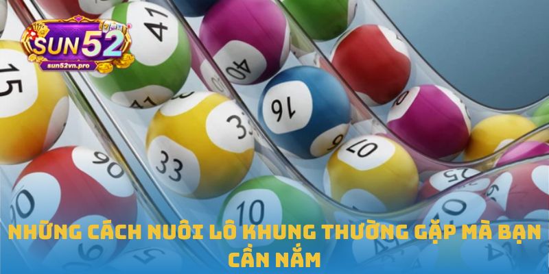Những cách nuôi lô khung thường gặp mà bạn cần nắm