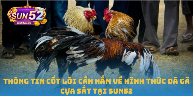 Thông tin cốt lõi cần nắm về hình thức đá gà cựa sắt tại Sun52
