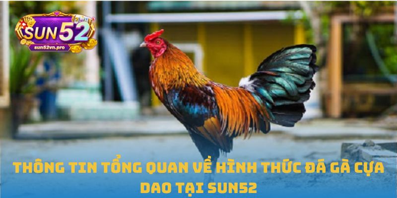 Thông tin tổng quan về hình thức đá gà cựa dao tại Sun52