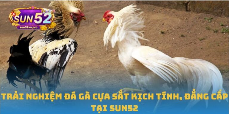 đá gà cựa sắt