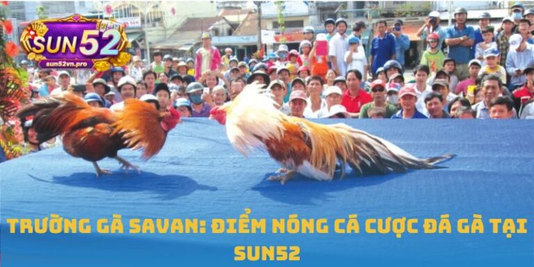 Trường gà Savan
