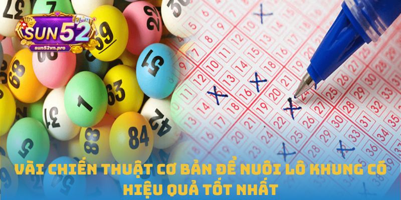 Vài chiến thuật cơ bản để nuôi lô khung có hiệu quả tốt nhất
