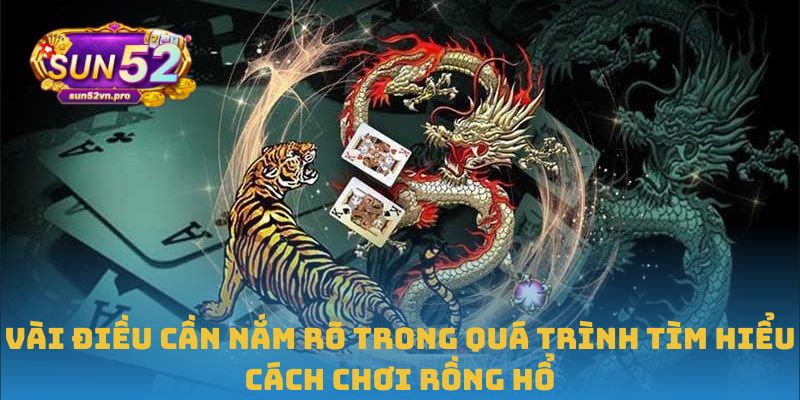 Vài điều cần nắm rõ trong quá trình tìm hiểu cách chơi Rồng Hổ